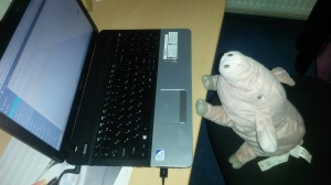 Elvis the Pig has been helping me with my extensive research. 